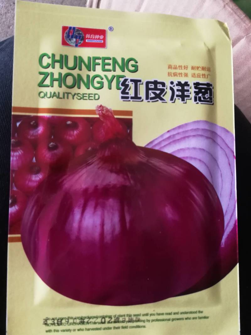 洋葱种籽四季播种阳台庭院农家田园春秋季高产红皮圆葱有机菜