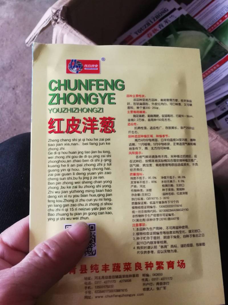 洋葱种籽四季播种阳台庭院农家田园春秋季高产红皮圆葱有机菜
