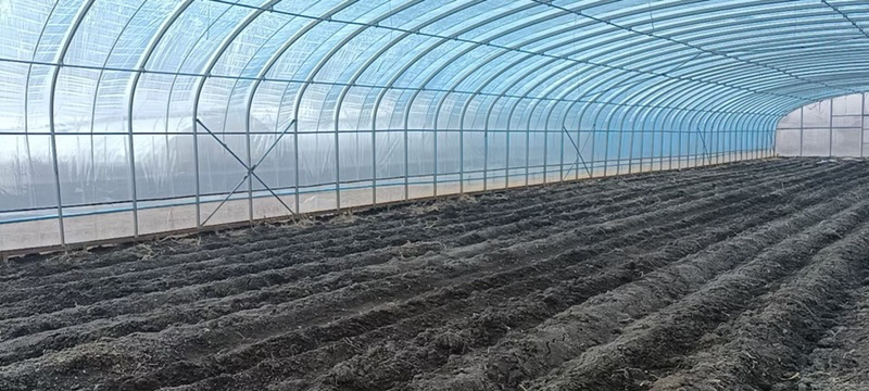 钢架大棚蔬菜温室大棚养殖大棚连栋棚免费安装