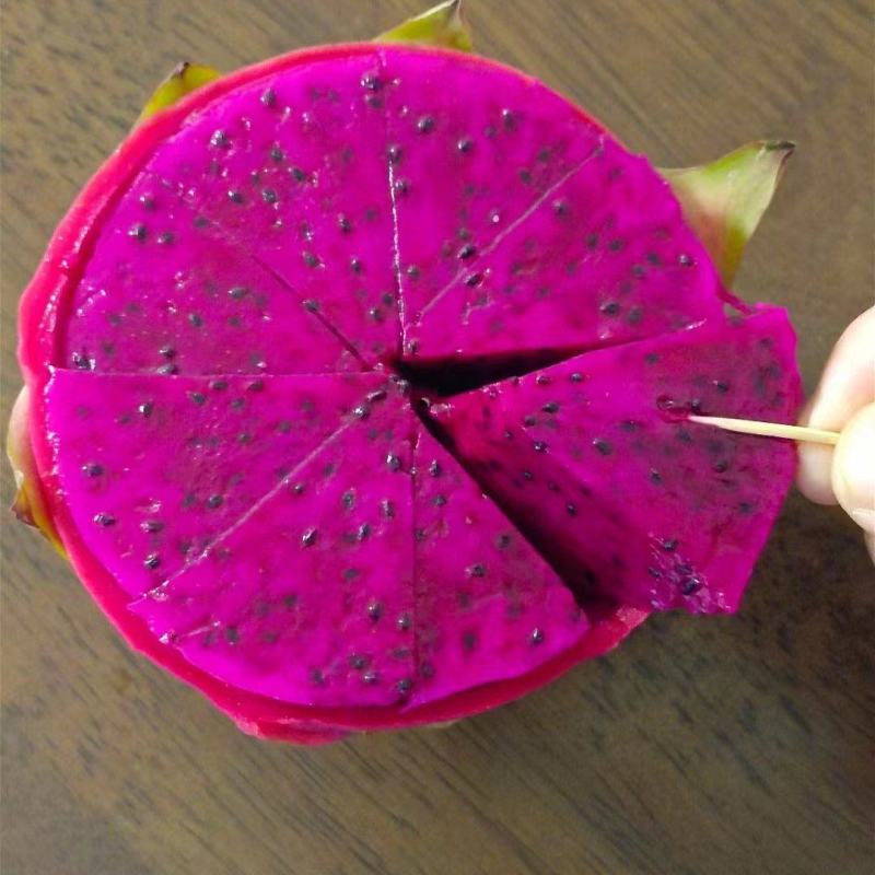 金都一号，桂红龙火龙果火热上市