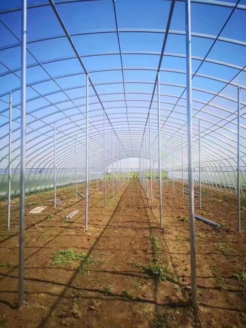 蔬菜种植大棚钢管型号齐全全国发货包建