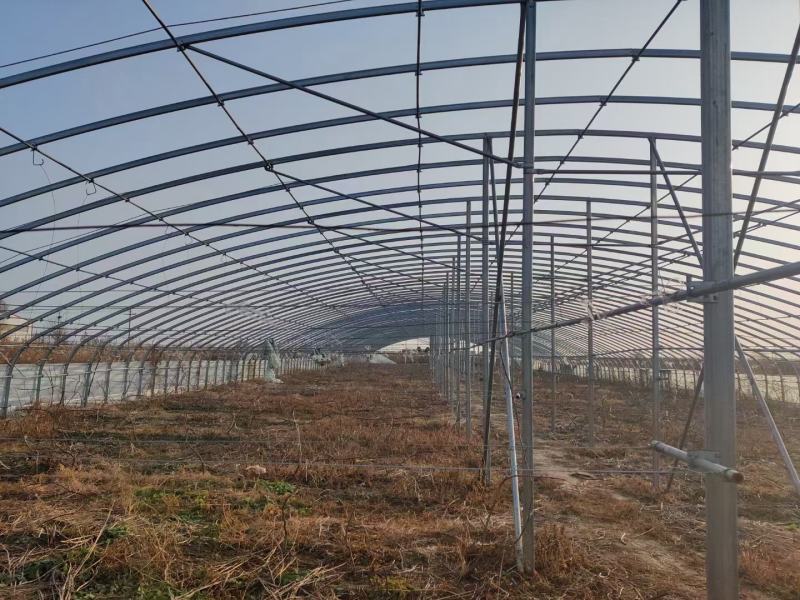 蔬菜种植大棚钢管型号齐全全国发货包建