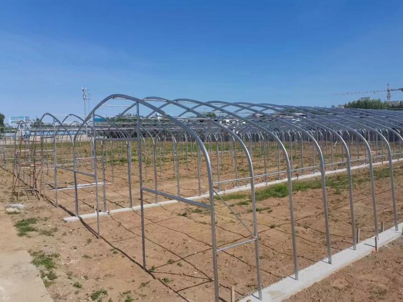 专业生产整套温室大棚养殖大棚全国发货包建