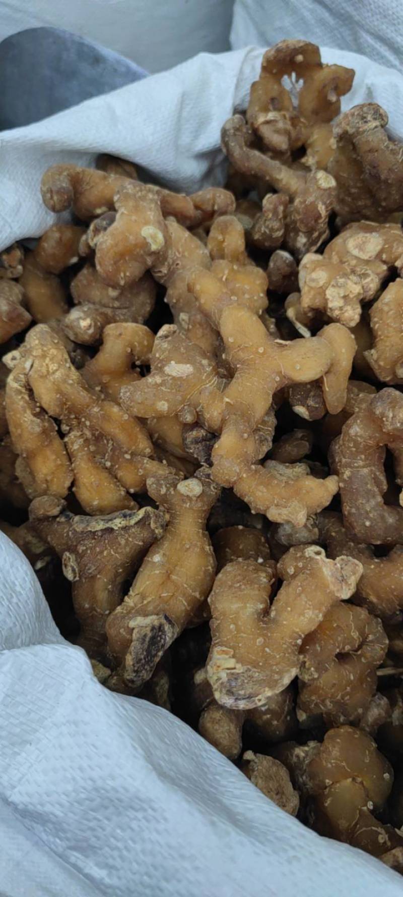 黄精个子净货各种中药新货大货批发各种