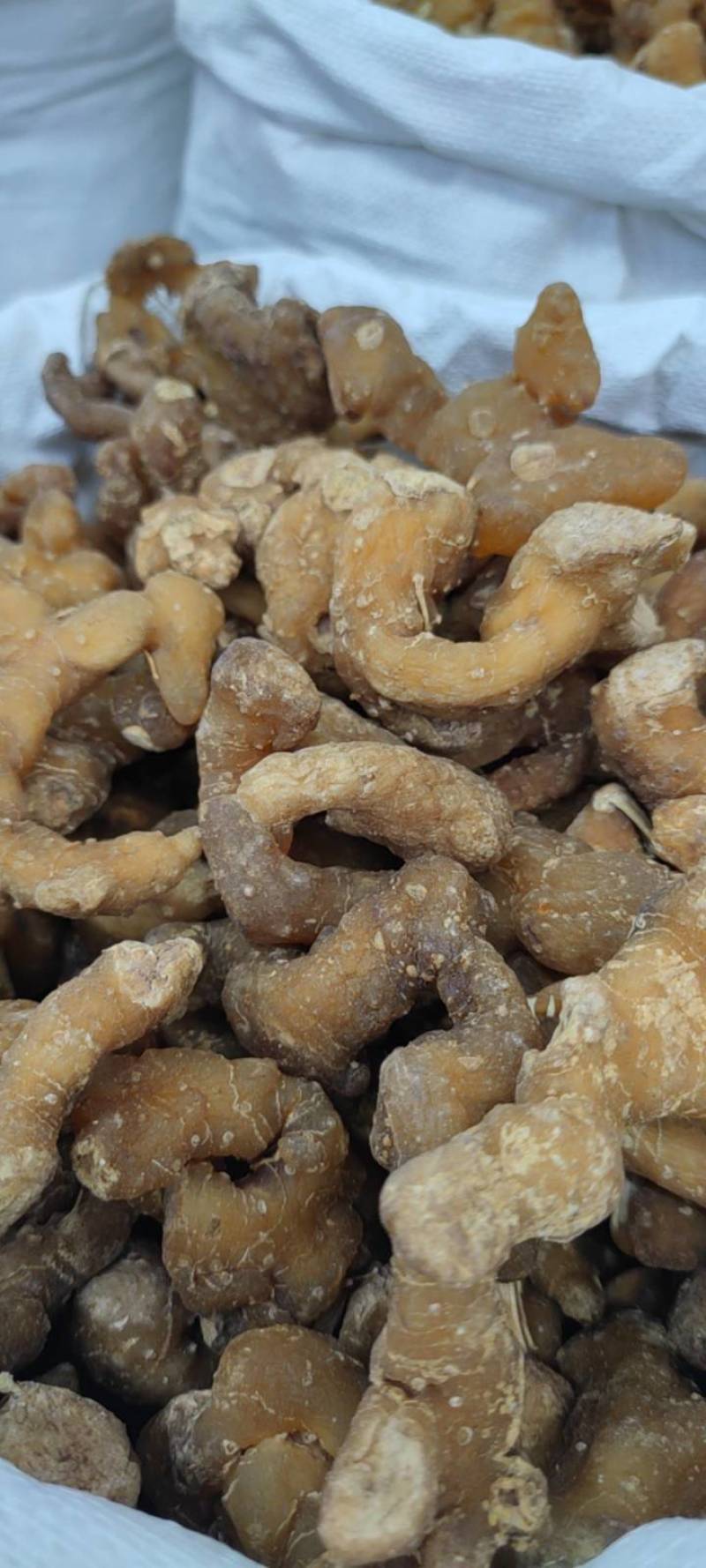 黄精个子净货各种中药新货大货批发各种