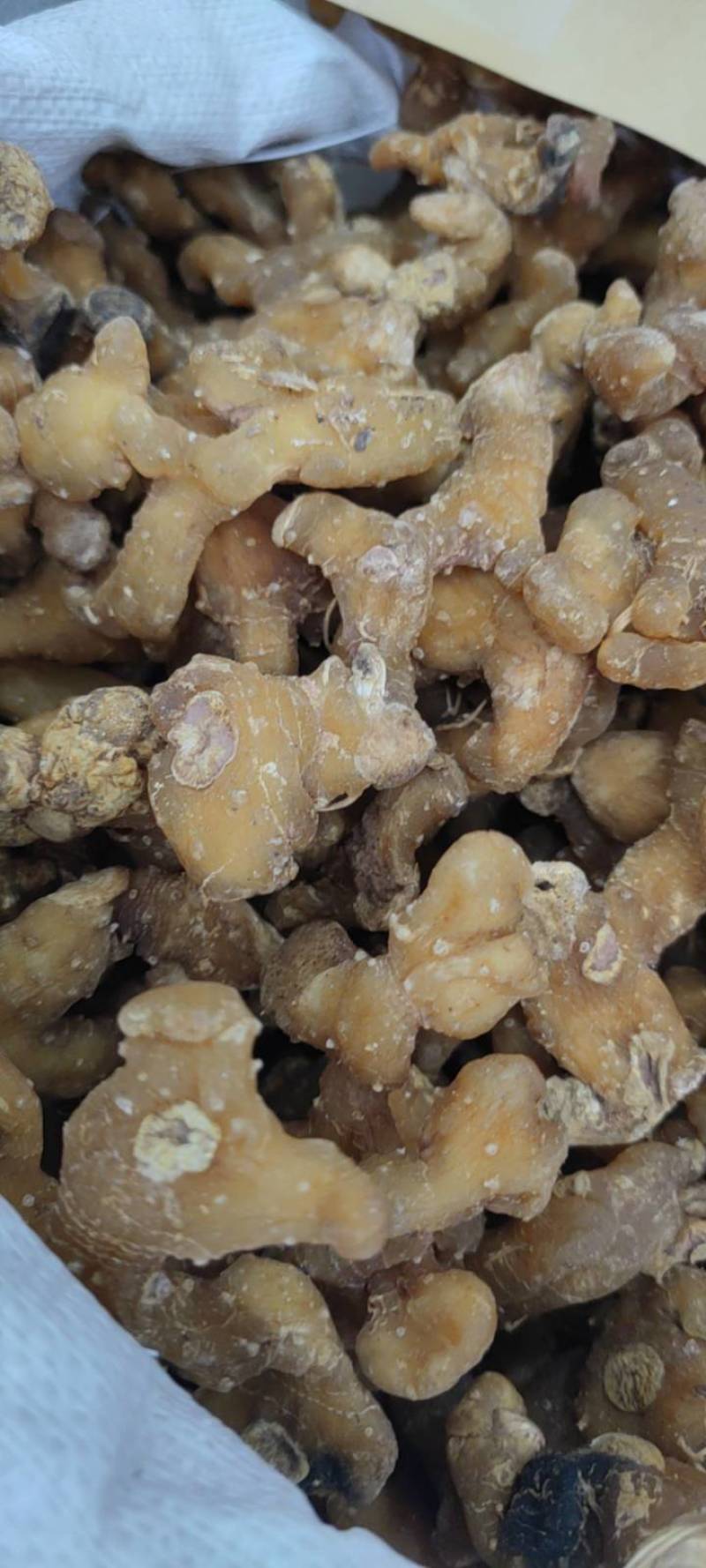 黄精个子净货各种中药新货大货批发各种