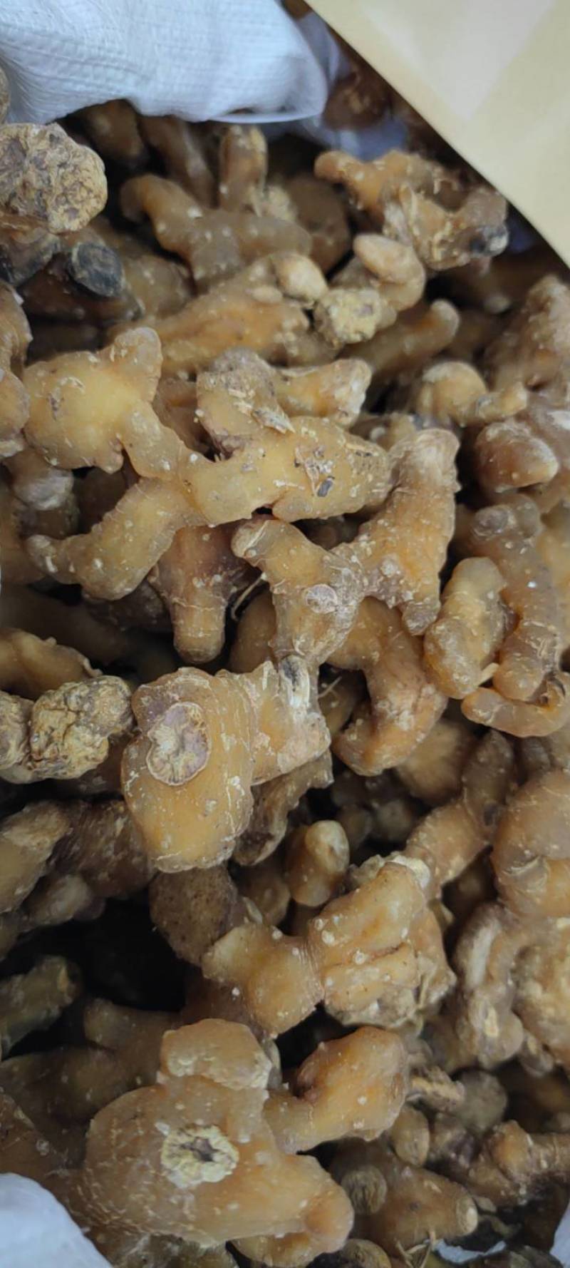 黄精个子净货各种中药新货大货批发各种