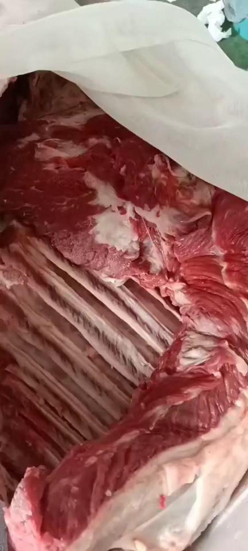 生鲜带皮驴肉厂家批发一手货源养殖基地直发