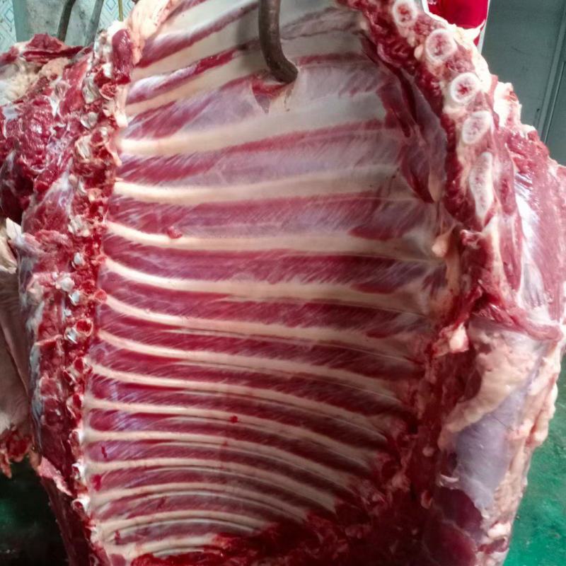 生鲜带皮驴肉厂家批发一手货源养殖基地直发