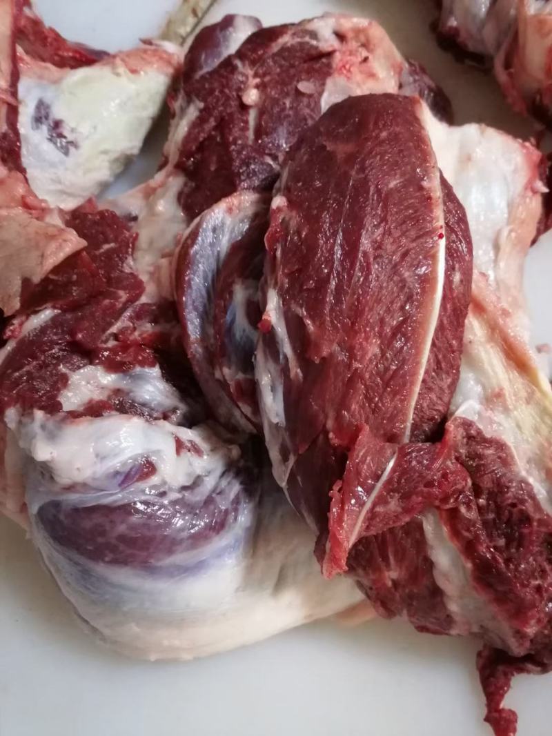 生鲜带皮驴肉厂家批发一手货源养殖基地直发