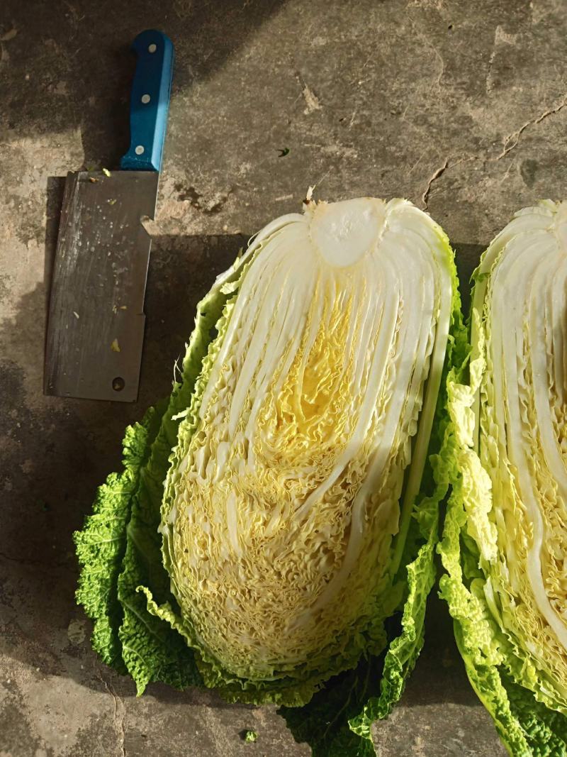 【一手精品】产地直发一手黄心白菜，包邮坏菜包赔。