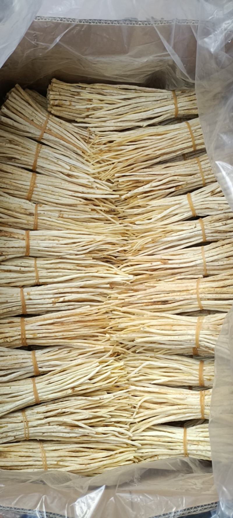 沙参细条颜色白