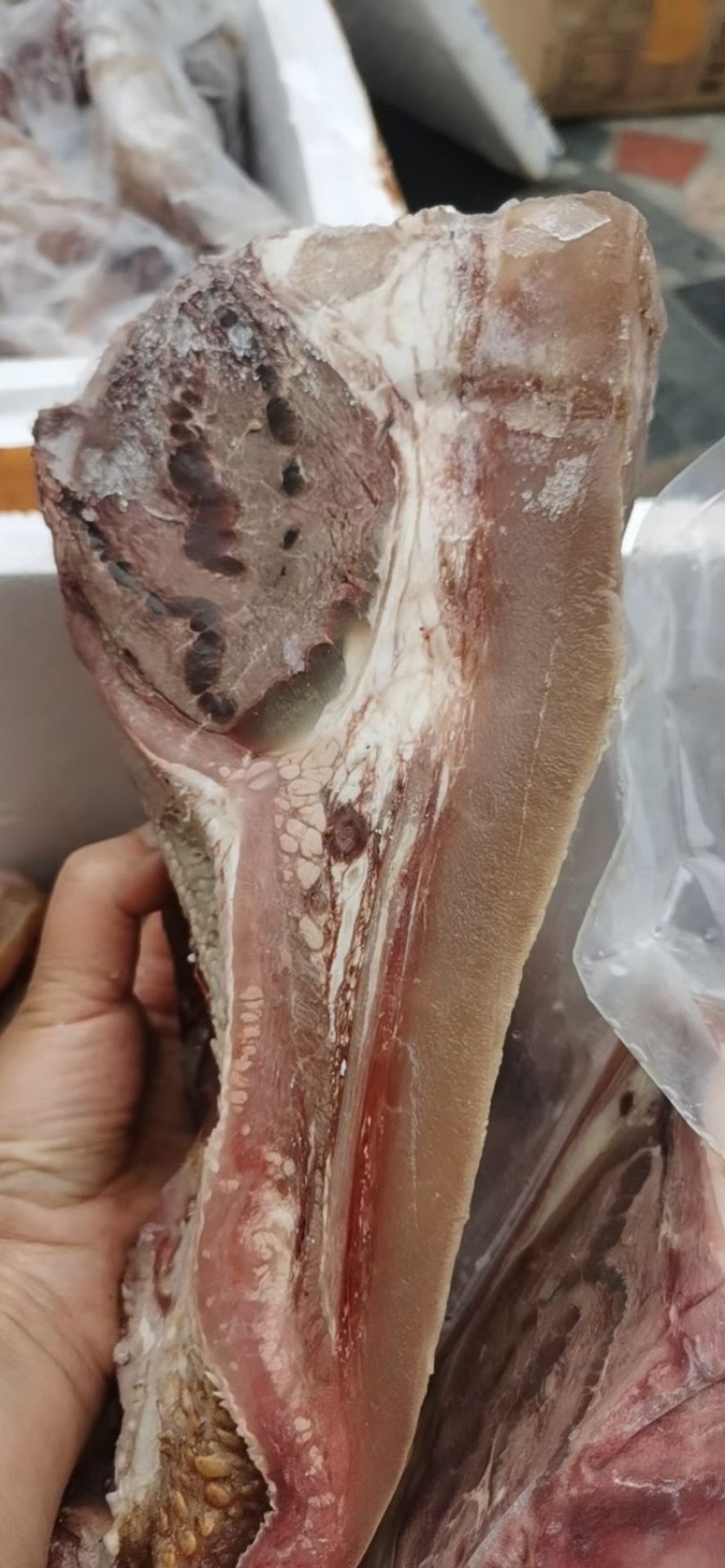 全熟牛头肉，一斤一包，真空包装，当季热销产品