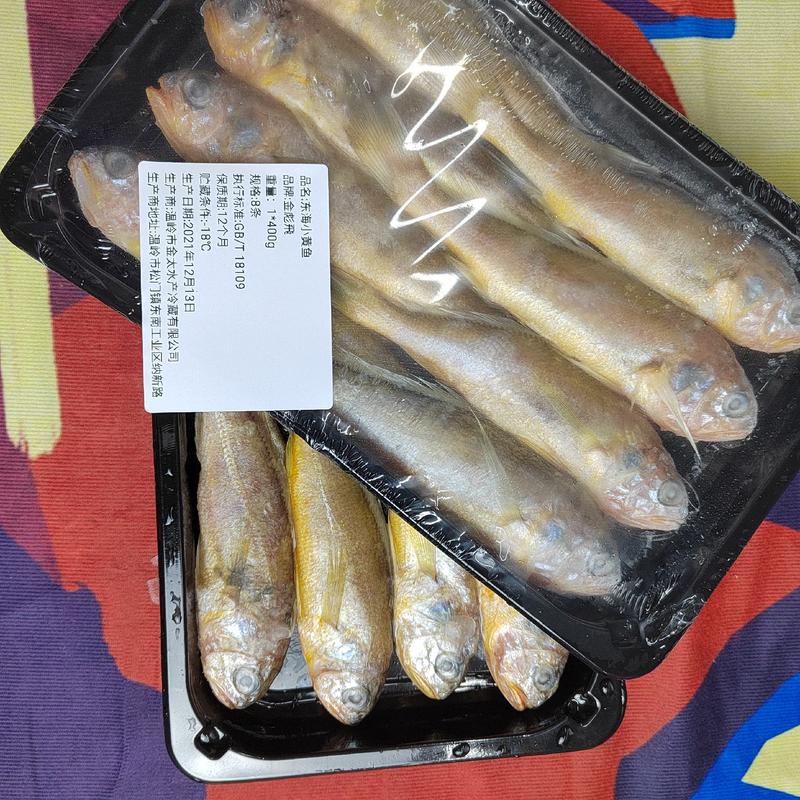 东海精品小黄鱼产地直销大型批发商一手货源