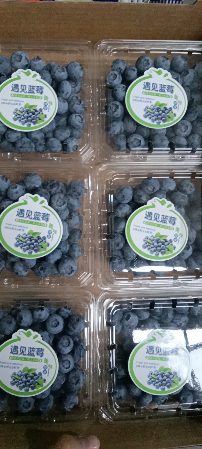 蓝莓产地直销