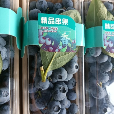 蓝莓产地直销