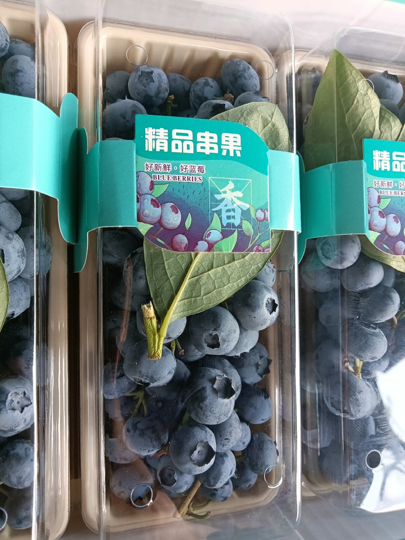 蓝莓产地直销