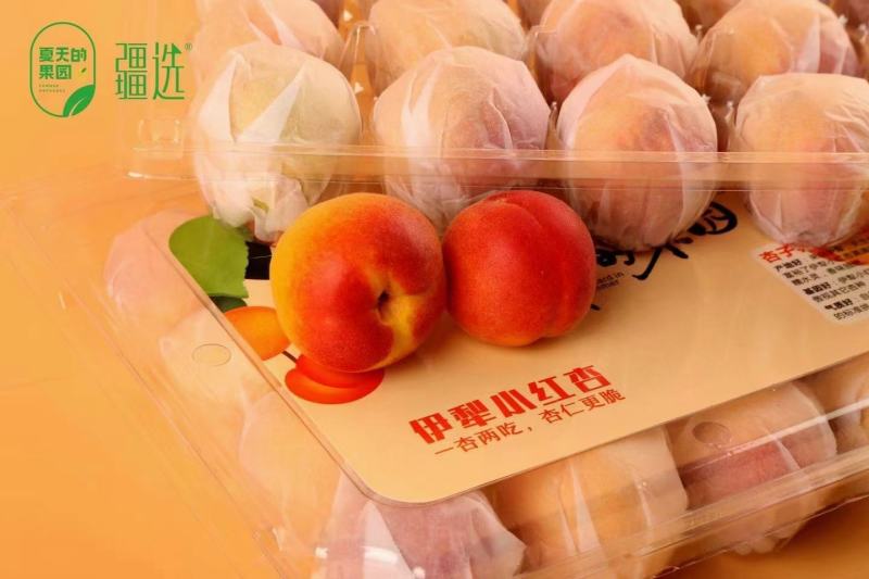 伊犁小红杏，欢迎提前预定