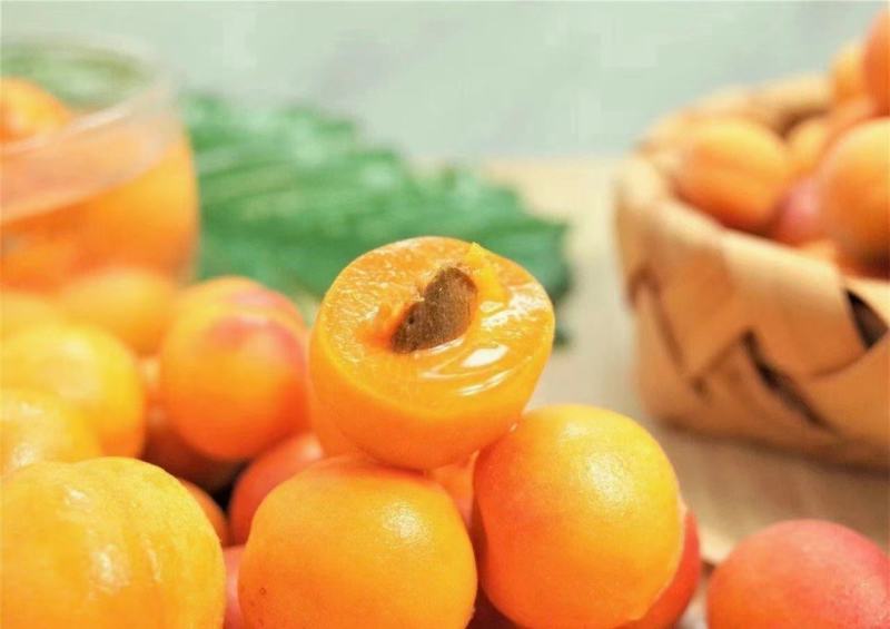 伊犁小红杏，欢迎提前预定