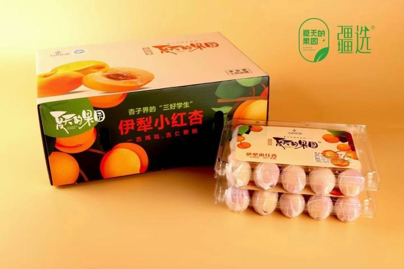 伊犁小红杏，欢迎提前预定