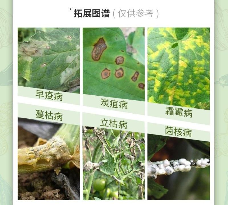 40%苯甲吡唑酯苯醚甲环唑葡白粉病炭疽叶斑果树农药杀菌剂