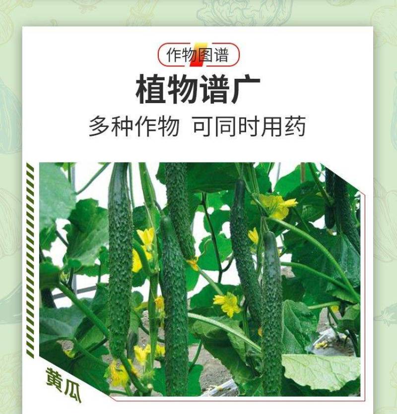 40%苯甲吡唑酯苯醚甲环唑葡白粉病炭疽叶斑果树农药杀菌剂