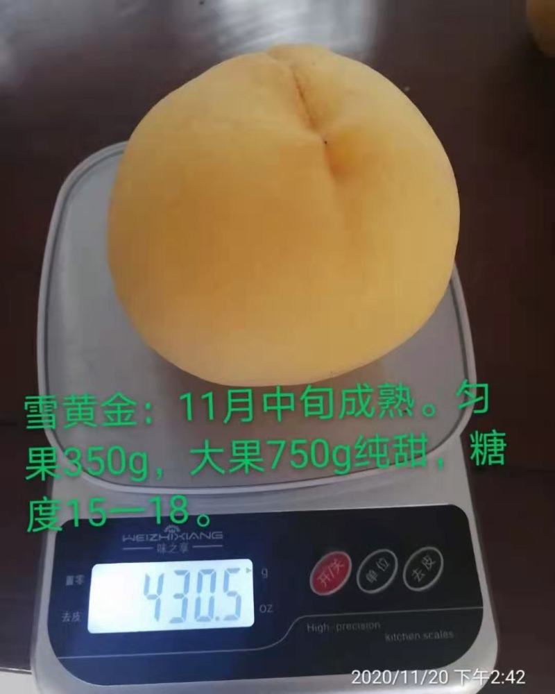 黄桃6月10号上市