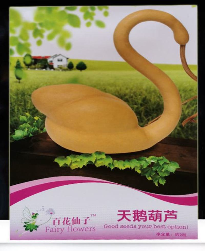 天鹅葫芦种子原装食用胡芦子种籽四季播种庭院观赏摆件花卉种