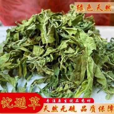 忧遁草中药材克优盾草黎王草鳄嘴花优顿草茶