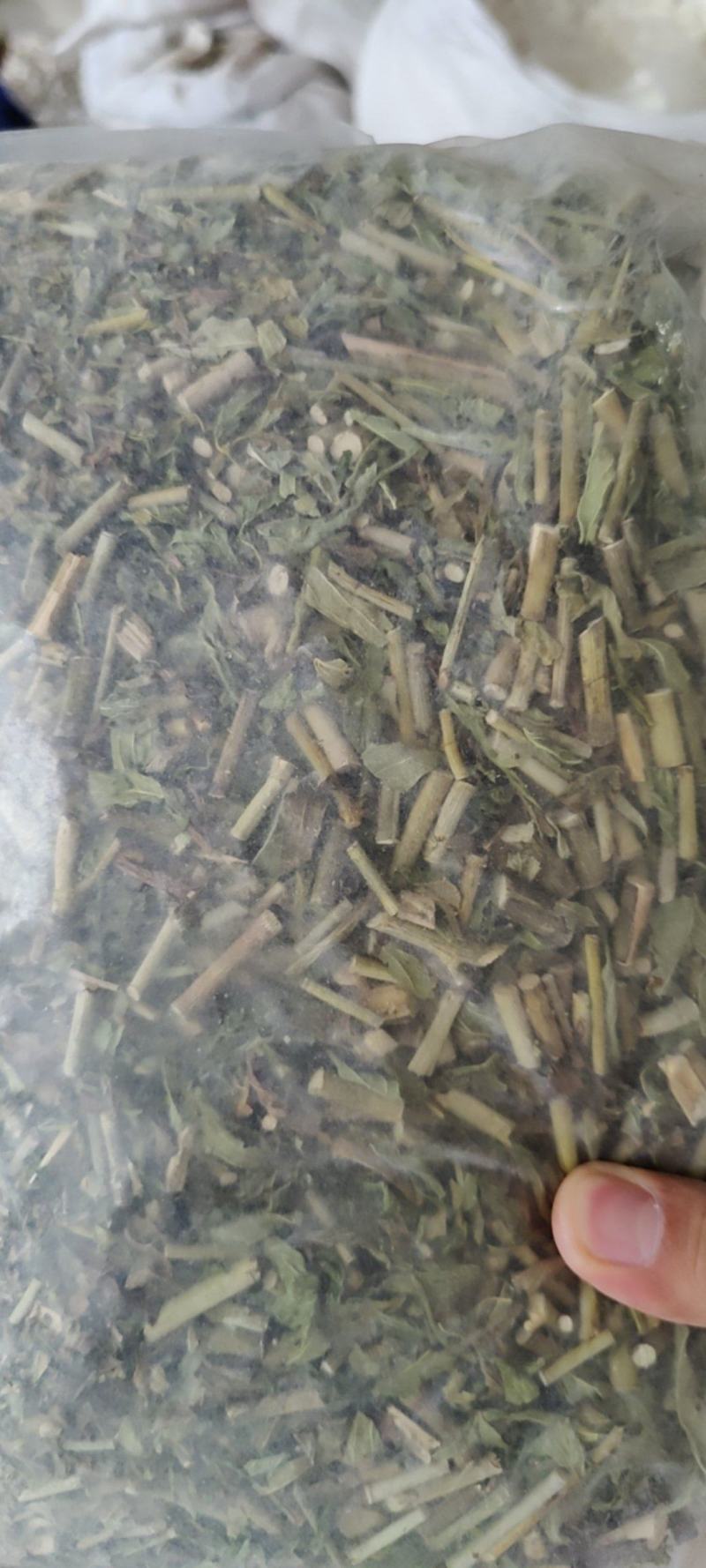 忧遁草中药材克优盾草黎王草鳄嘴花优顿草茶