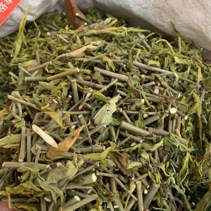 忧遁草中药材克优盾草黎王草鳄嘴花优顿草茶