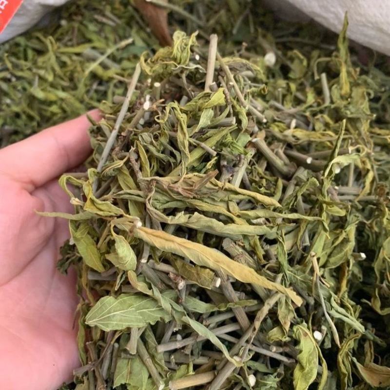 忧遁草中药材克优盾草黎王草鳄嘴花优顿草茶