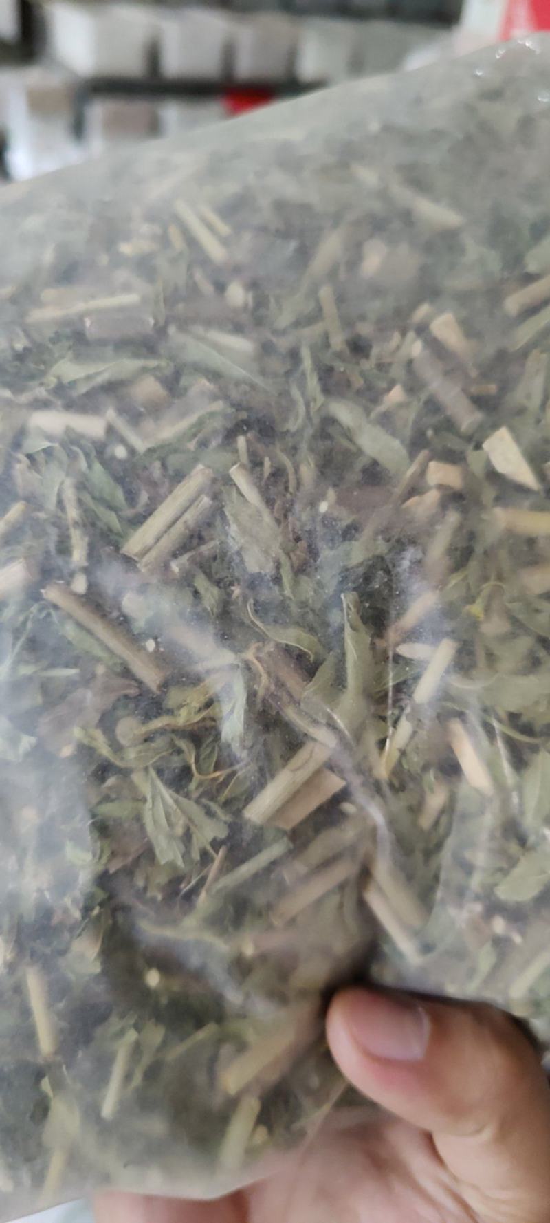 忧遁草中药材克优盾草黎王草鳄嘴花优顿草茶