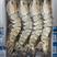 超大黑虎虾单只18-20厘米左右新鲜速冻（8只装）