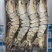 超大黑虎虾单只18-20厘米左右新鲜速冻（8只装）
