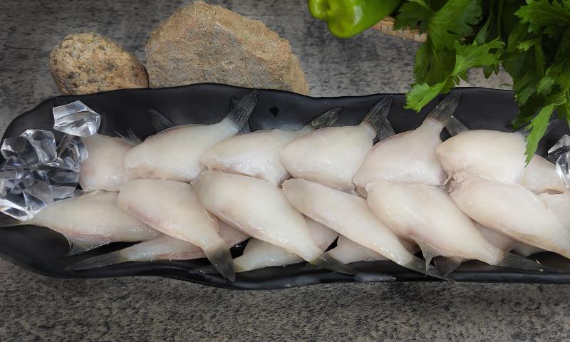 东海精品马面鱼一手货源原产地厂家对接大型商超批发商采购