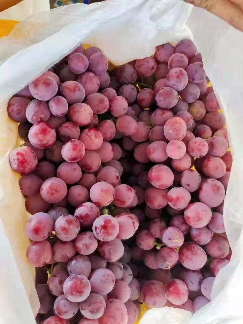 新疆红提葡萄品种繁多口感丰富，要多少有多少货