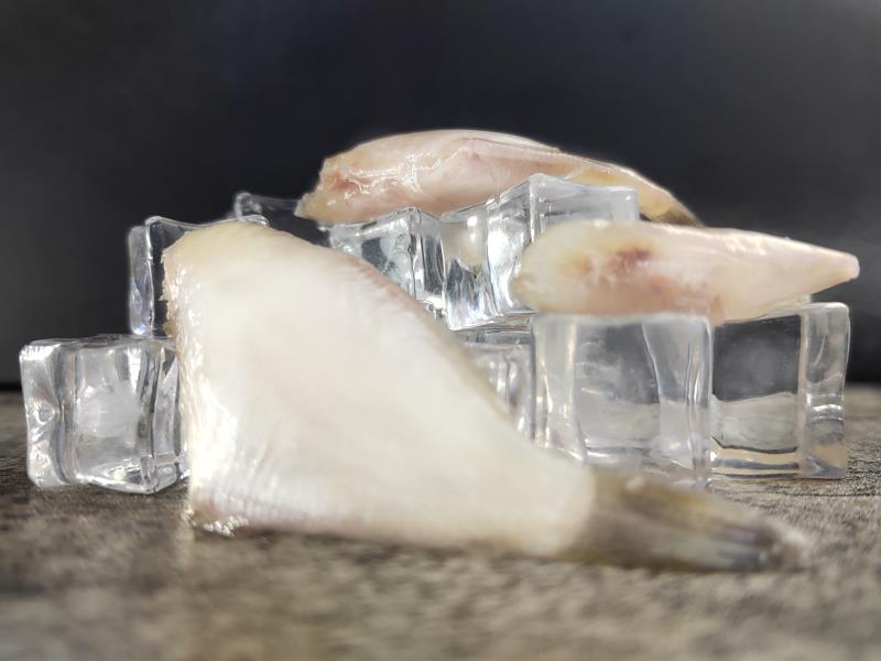 东海精品马面鱼小包装500克/袋，一箱20袋，一手货源