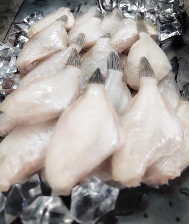 东海精品马面鱼小包装500克/袋，一箱20袋，一手货源