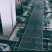东海精品马面鱼小包装500克/袋，一箱20袋，一手货源