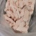 碎膘