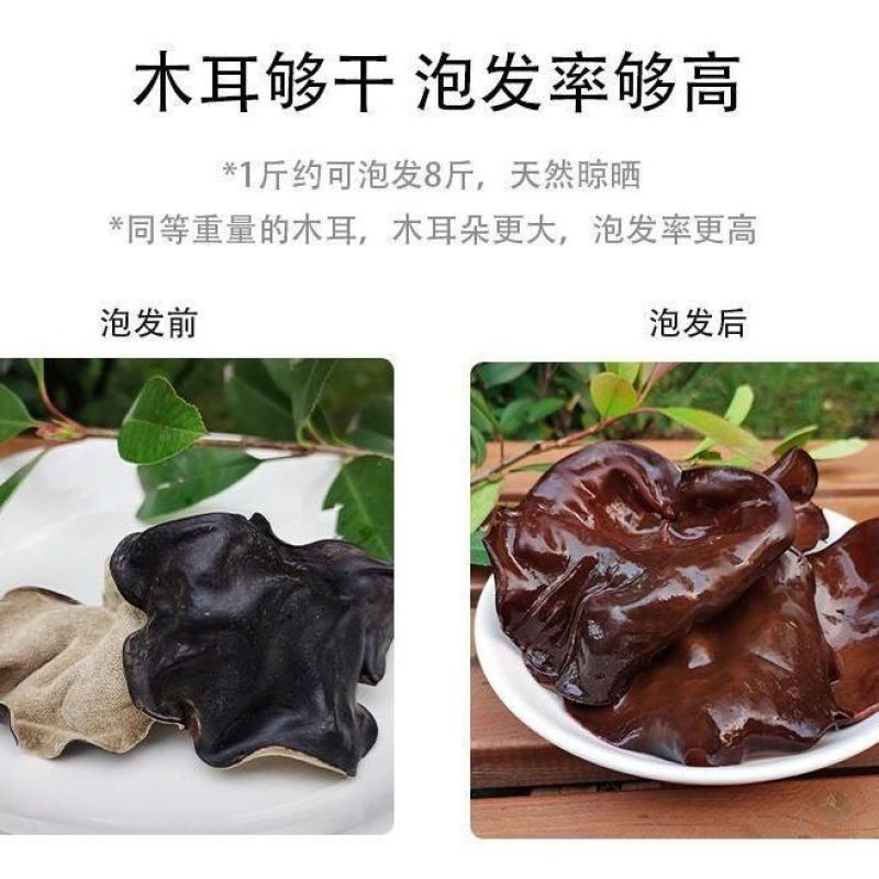 山东头茬毛木耳片大肉厚皮耳木耳丝餐饮食堂实惠食材