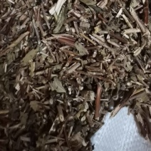金银花藤，产地直供，量大从优！