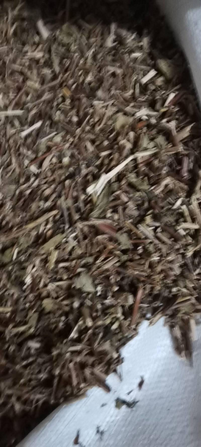 金银花藤，产地直供，量大从优！