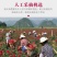 云南食用墨红玫瑰鲜花一件代发