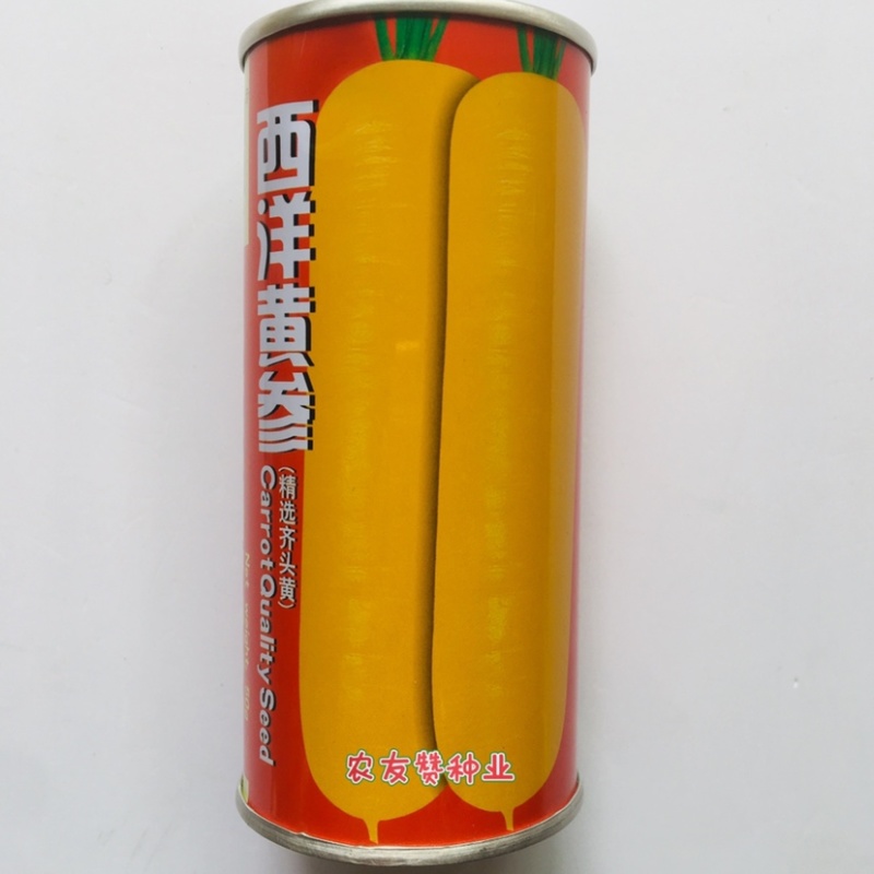 西洋黄参精选齐头黄萝卜种子皮肉芯米黄色胡萝卜种子