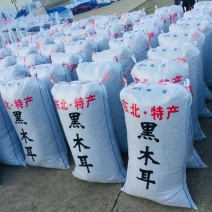 黑木耳木耳秋耳今年新货品质好产地直发包邮！