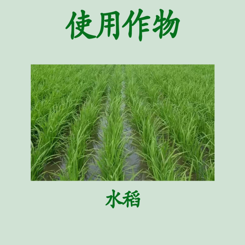 进口富士一号40%稻瘟灵水稻稻瘟病苗温叶瘟枝颈瘟病杀菌剂