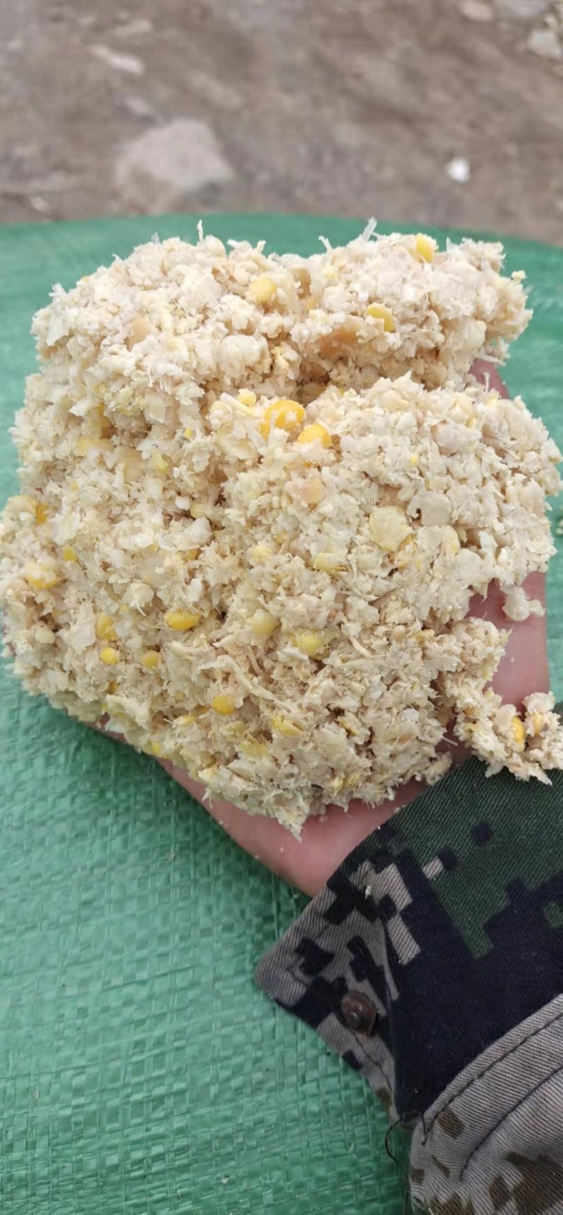 熟玉米