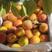 【精品】甘肃杏，秦安杏，大山深处的杏子，天水杏，全国发货